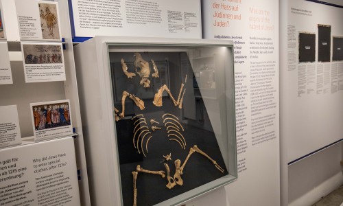 Skelettteile eines Menschen in einer beleuchteten Vitrine, umgeben von mehrsprachigen Ausstellungstexten zu Juden und Antijudaismus im Jüdischen Museum Wien